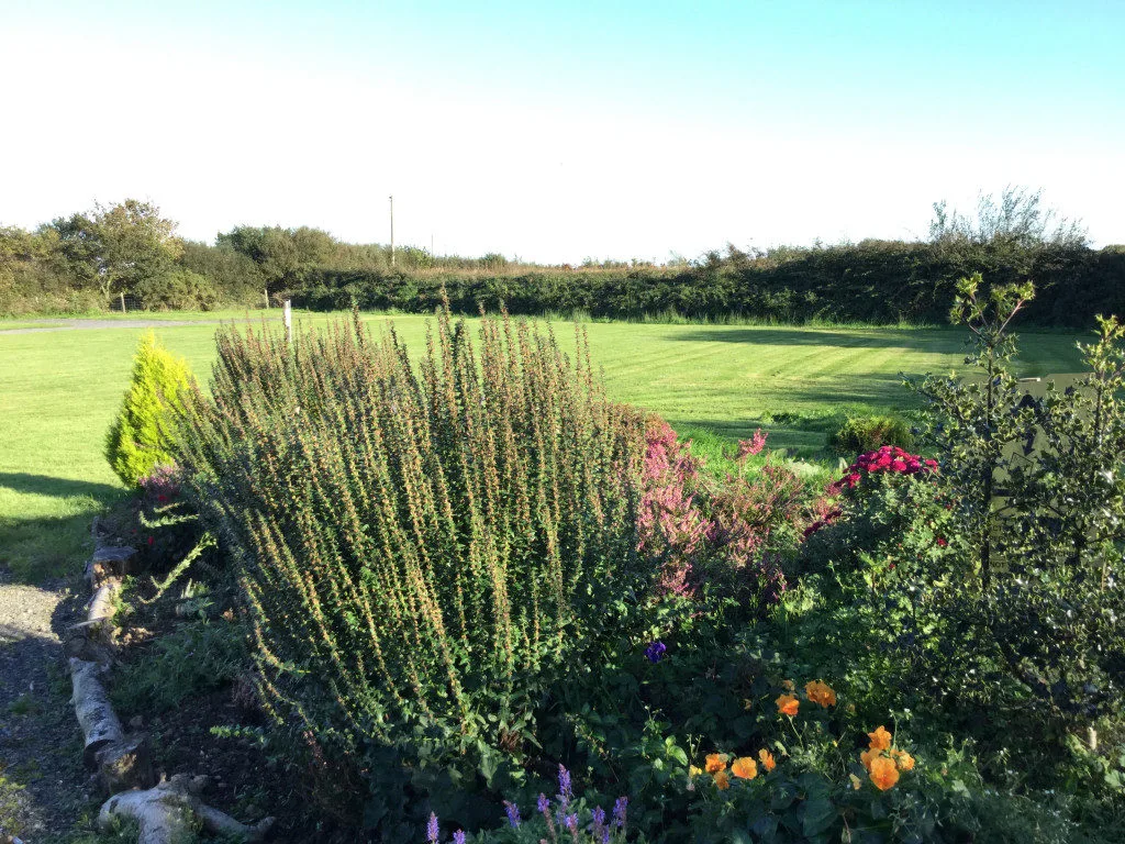 Dog friendly caravan park in Pembrokeshire Hungerford Farm
